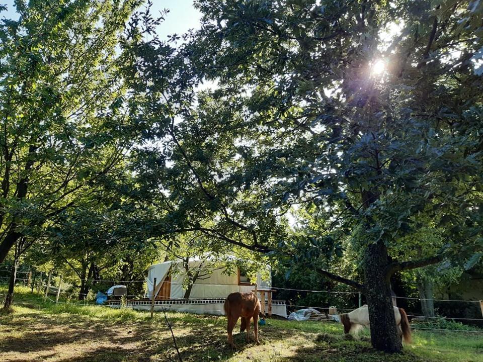 Jurta Az Erdo Mellett Dezsaval-Keresz-Tanya Hotel Pilisszentkereszt Buitenkant foto
