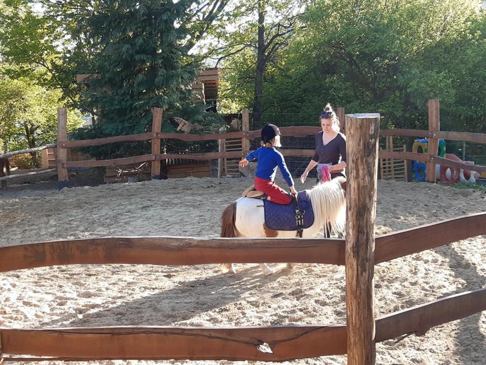 Jurta Az Erdo Mellett Dezsaval-Keresz-Tanya Hotel Pilisszentkereszt Buitenkant foto